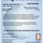 Gong Sound Bath, Nov 24, 7pm, Karma Yoga, Bloomfield Hills, MI